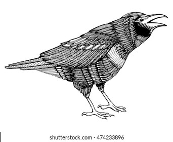 Stylized crows. Decorative bird. Line art. Rook. Black and white drawing by hand. Doodle. Zentangle. Tattoo. Graphic arts.
