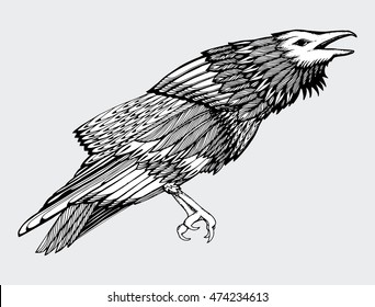 Stylized crows. Decorative bird. Line art. Rook. Black and white drawing by hand. Doodle. Zentangle. Tattoo. Graphic arts.