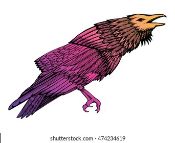 Stylized crows. Decorative bird. Line art. Rook. Black and white drawing by hand. Doodle. Zentangle. Tattoo. Graphic arts.