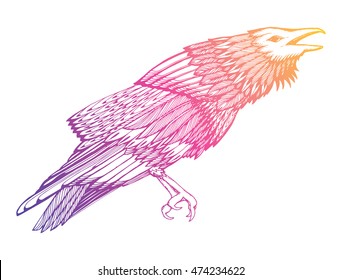 Stylized crows. Decorative bird. Line art. Rook. Black and white drawing by hand. Doodle. Zentangle. Tattoo. Graphic arts.
