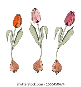 stylized cute pink flowers, tulips. Endless texture for your design, greeting cards, announcements, posters, kraft paper, tags, gift wrapping paper.
