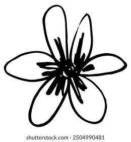 Flor de margarita estilizada. Dibujado a mano dibujo lineal doodle áspero boceto. Silueta en blanco y negro.