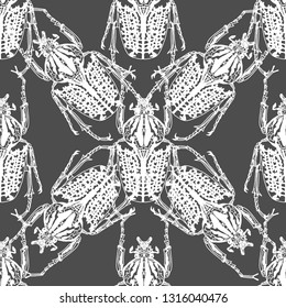 Stylized decorative beetle pattern is suitable for printing on fabric and clothing. 
Hand drawn illustration pattern of beetle on a gray background. vector illustration.
