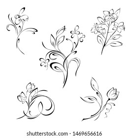 stylized decorative flower on a stalk with leaves and curls in black lines on a white background. SET