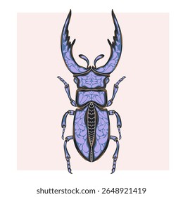 Stylized decorative illustration of a beetle with intricate Art Nouveau patterns inspired by nature.
