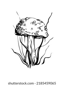 Stylized decorative vector illustration of toadstool for engraving, printing on cards, fabric, coloring pages and books. Inedible mushroom amanita isolated on white background