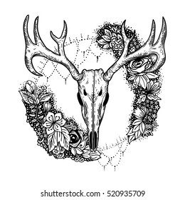 stylized Deer Skull and flowers hand drawn original illustration. design for clothing print, postcards, cards, cover, tattoo design bohemian boho outline style. isolated on white background.