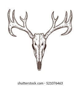 4,408 Deer skull Stock Vectors, Images & Vector Art | Shutterstock