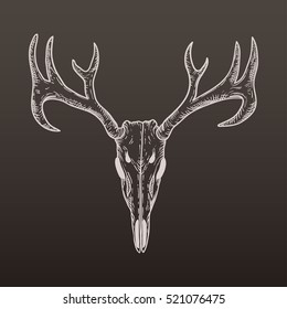 stylized Deer Skull sketch hand drawn original illustration. design for clothing print, postcards, cards, cover, tattoo design bohemian boho outline style. illustration on gradient background.