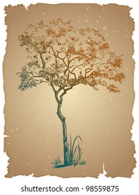 A stylized depiction of an orange tree on an old paper.