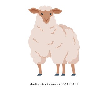 A stylized depiction of a standing sheep with a thick, fluffy wool coat. The sheep is shown in a cute, cartoonish style, isolated on a white background, ideal for farm-related themes and designs.