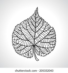 Stylized detail silhouette of leaf isolated on background.