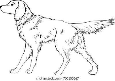 Stylized dog line art. Artistic animal