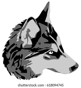 stylized dog portrait In black and white