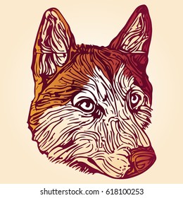 stylized dog portrait in orange and yellow