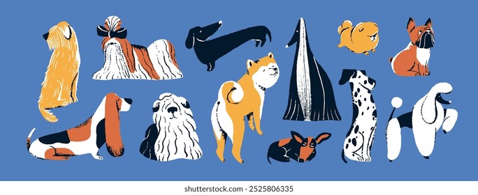 Jogo de cães estilizados. Cães bonitos: akita, basset hound, spitz, dalmatian. Filhotes engraçados de poodle, dachshund, buldogue francês. Animais de estimação de diferentes raças caninas. Ilustrações isoladas planas de vetor de desenho.