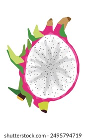 Stylized Dragon Fruit Cross-Section Illustration