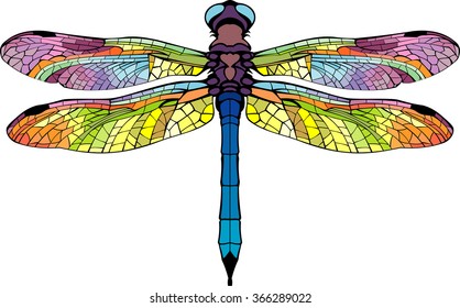 stylized dragonfly bright colored colorful beautiful wings
