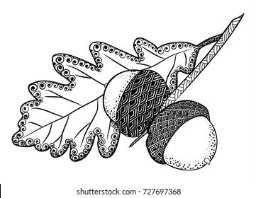 Stylized drawing acorn and oak leaf in the zentangle style. Zen art. Ornament. Drawn by hand.