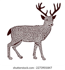 stylized drawing of a deer