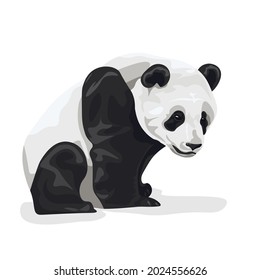Stylized drawing of the entire body of a giant panda. Panda Cub Black White Vector Illustration Chinese panda bear.
cute panda in a lazy mood