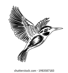 Stylized drawing of a kingfisher bird