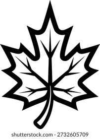 A stylized drawing of a maple leaf with bold lines and a simple design