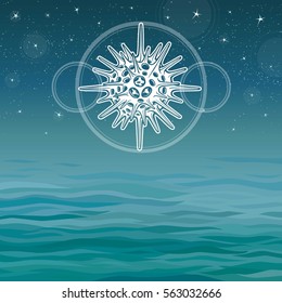 Stylized drawing of a radiolaria - the elementary marine organism. A background - a sea landscape, the night star sky. Vector illustration. The place for the text.