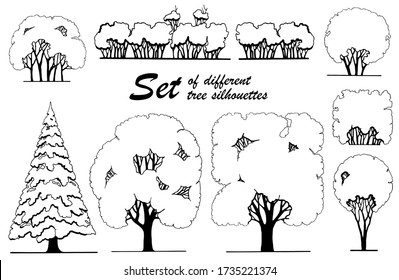 A stylized drawing of silhouettes of different trees and shrubs is made manually in a graphic technique.