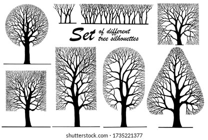 A stylized drawing of silhouettes of different trees and shrubs is made manually in a graphic technique.