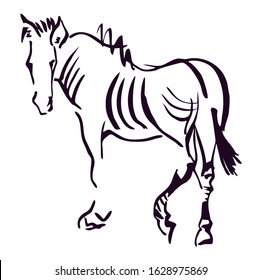 Stylized drawing sketch of  deer zebra. Wildlife african savannah steeps nature. Chinese ink calligraphic brush style. Black and white, isolated. Vector stock illustration.