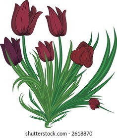 A stylized drawing of a wild bunch tulips. Illustration contains no gradients.