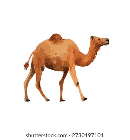 Ilustração de vetor de caminhada de camelo dromedário estilizado. Ideal para temas de animais do deserto, conteúdo de viagens ou projetos educacionais de vida selvagem.