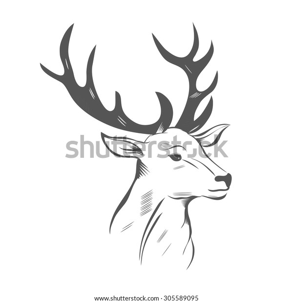Stylized Engraving Deer Isolated On White Stock Vector (Royalty Free ...