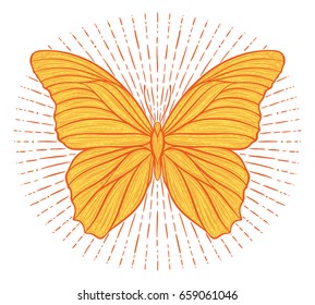 Stylized ethnic boho butterfly with shining lights effect isolated on white. Decorative doodle vector illustration. Perfect for postcard, poster, print, greeting card, t-shirt, phone case design