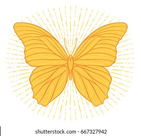 Stylized ethnic boho butterfly with shining lights effect isolated on white. Decorative doodle vector illustration. Perfect for postcard, poster, print, greeting card, t-shirt, phone case design