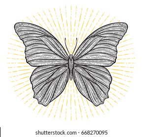 Stylized ethnic boho butterfly with shining lights effect isolated on white. Decorative doodle vector illustration. Perfect for postcard, poster, print, greeting card, t-shirt, phone case design
