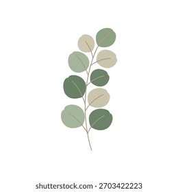 Una rama de eucalipto estilizada con hojas redondeadas en tonos de verde y beige.