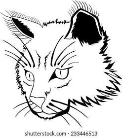 Stylized face of cat isolated on white background