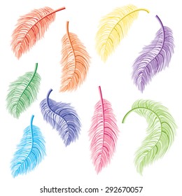 Stylized feathers silhouettes set on white background.