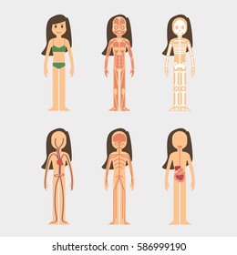 Stylized female anatomy body table women - vector