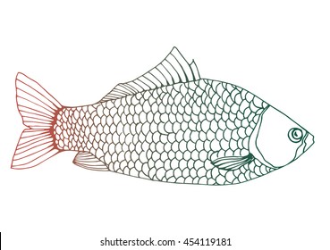 Stylized fish. Carp. River fish. Black and white drawing by hand. Line art. Tattoo. Doodle. Graphic arts.