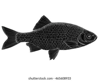 Stylized fish. Carp. River fish. Black and white drawing by hand. Line art. Tattoo. Doodle. Graphic arts.