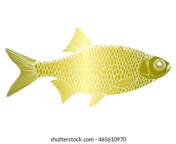 Stylized fish. Carp. River fish. Black and white drawing by hand. Line art. Tattoo. Doodle. Graphic arts.