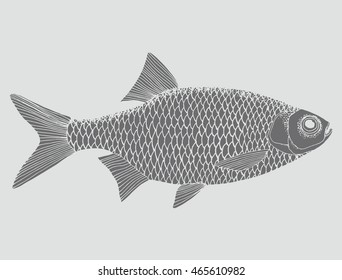 Stylized fish. Carp. River fish. Black and white drawing by hand. Line art. Tattoo. Doodle. Graphic arts.