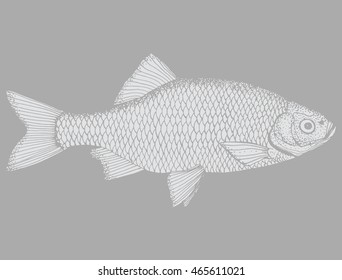 Stylized fish. Carp. River fish. Black and white drawing by hand. Line art. Tattoo. Doodle. Graphic arts.