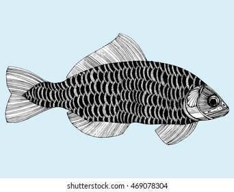 Stylized fish. Carp. River fish. Black and white drawing by hand. Line art. Tattoo. Doodle. Graphic arts.