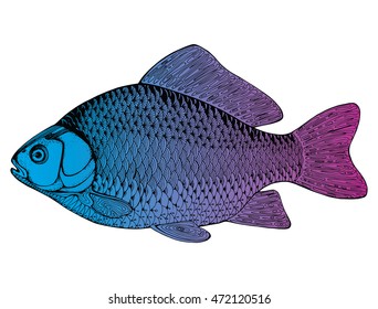 Stylized fish. Carp. River fish. Black and white drawing by hand. Line art. Tattoo. Doodle. Graphic arts.