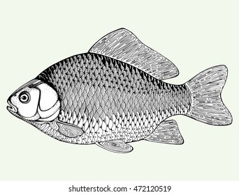 Stylized fish. Carp. River fish. Black and white drawing by hand. Line art. Tattoo. Doodle. Graphic arts.