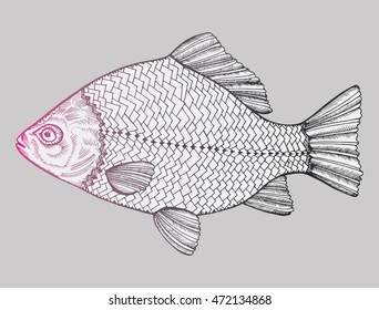 Stylized fish. Carp. River fish. Black and white drawing by hand. Line art. Tattoo. Doodle. Graphic arts.